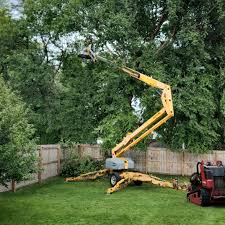  Catawba, SC Tree Care Pros